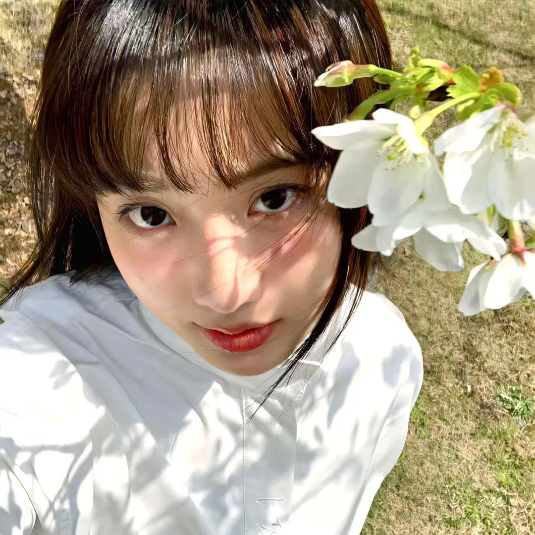 巴德美因霍夫